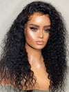 Chinalacewig 24hrs shipping Curly Human Hair 13x6 HD Lace Wig With Plucked Single Knots NCF113